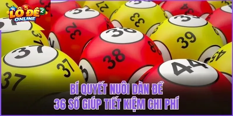 Dàn Đề 36 Số Lô Đề Online Là Gì? Tại Sao Lại Là "Tỷ Lệ Vàng"?