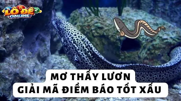 Ý Nghĩa Phong Thủy Và Tâm Lý Khi Mơ Thấy Lươn