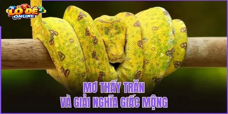 Lợi Thế Khi Lựa Chọn Lô Đề Online Để Chốt Số Mơ Rắn
