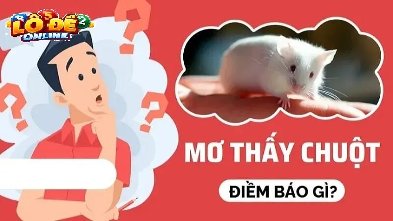 Giải Mã Chi Tiết Các Trường Hợp Mơ Thấy Chuột Và Bộ Số Lô Đề Online