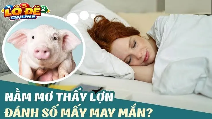 Giải Mã Chi Tiết Các Giấc Mơ Thấy Lợn Và Bộ Số Lô Đề Tương Ứng