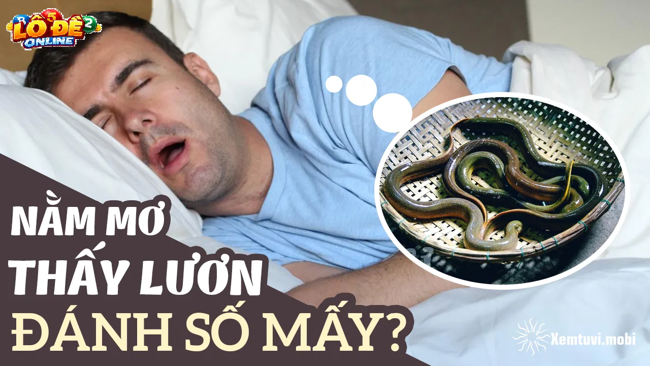 Bí Quyết Áp Dụng Số Mơ Lươn Để Đạt Hiệu Quả Cao