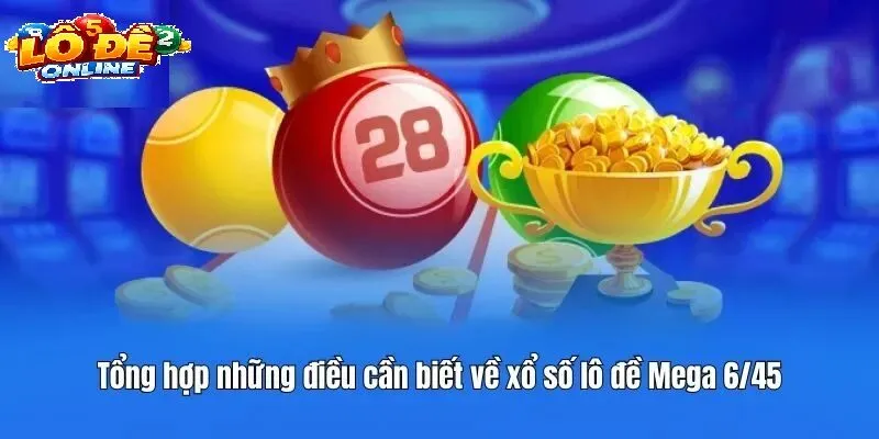 Bối Cảnh Pháp Lý Và Những Rủi Ro Cần Cảnh Giác
